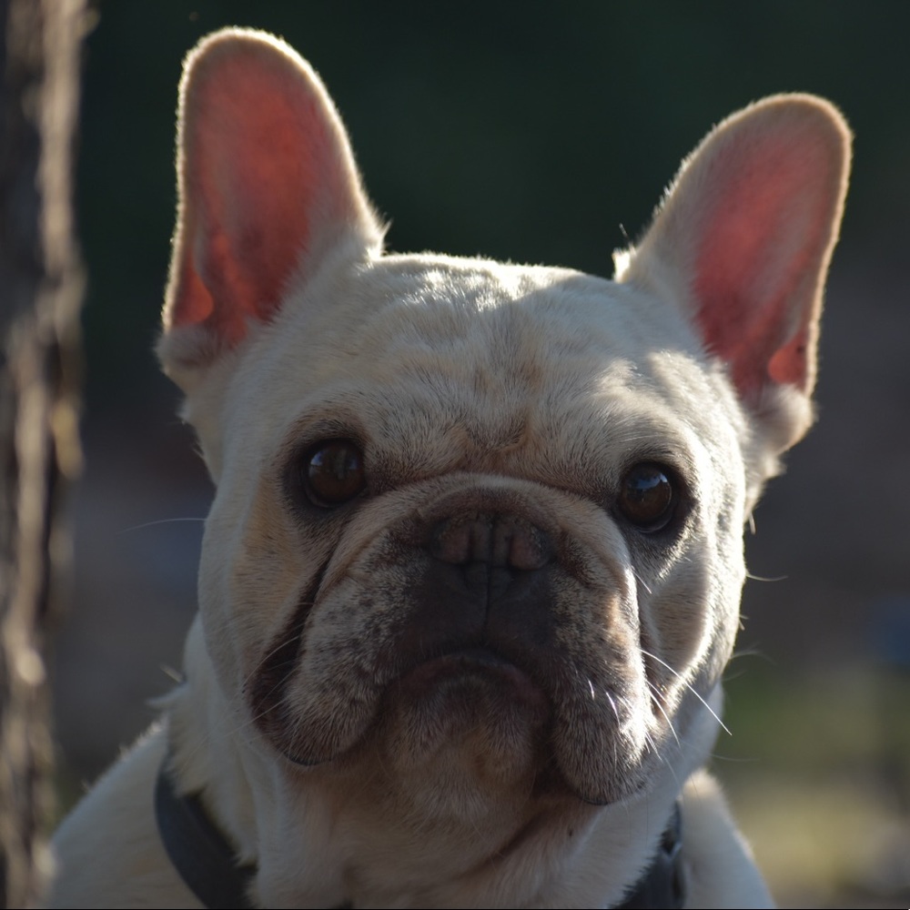 Meet your Posher, Kristin